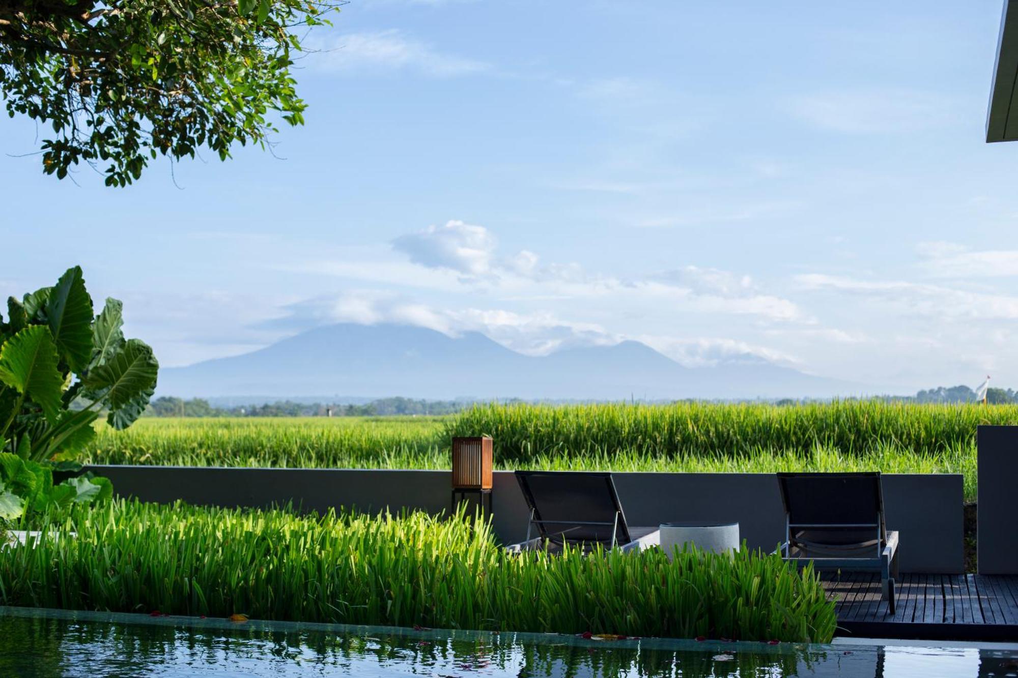 Soori Bali Villa Selemadeg Dış mekan fotoğraf